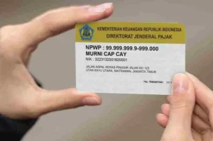 10 Cara Membuat NPWP Pribadi yang Mudah