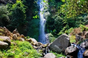 Tempat Wisata di Ungaran yang Menawarkan Keindahan Alam & Budaya Unik